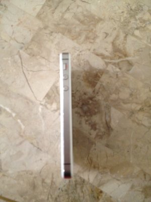 2012-09-24 11.17.12.jpg