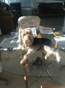 ImageUploadedByiMore Forums1352007095.121759.jpg