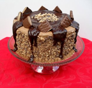 mocha-crunch-cake-11-14-10.jpg
