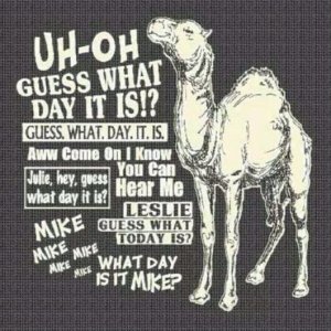 Camel Hump Day.jpg