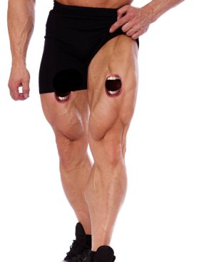 calf-muscles.jpg