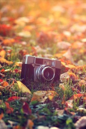 ImageUploadedByiMore Forums1378396374.317161.jpg