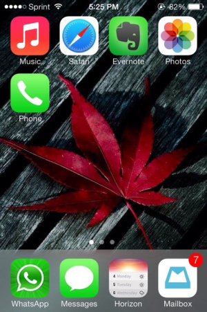 ImageUploadedByiMore Forums1380839151.895562.jpg