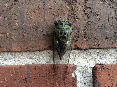 2013-10-06 14.33.29.jpg