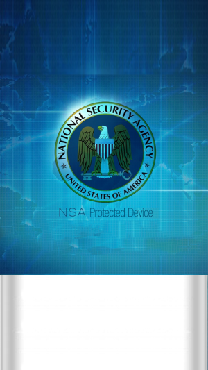 NSA Style.png