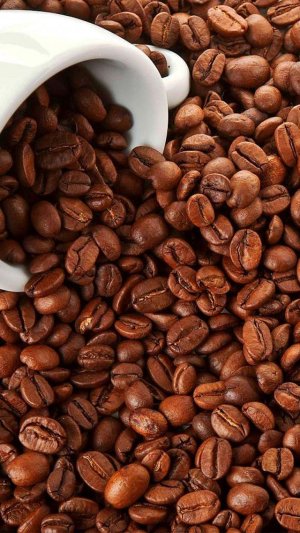 Coffee-Beans.jpg