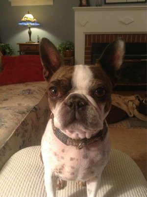 ImageUploadedByiMore Forums1352066747.349015.jpg