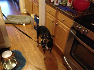 ImageUploadedByiMore Forums1356367227.325354.jpg