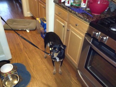 ImageUploadedByiMore Forums1356367256.793087.jpg