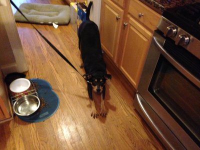 ImageUploadedByiMore Forums1356367301.400683.jpg