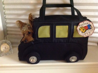 ImageUploadedByTapatalk HD1356391559.370256.jpg