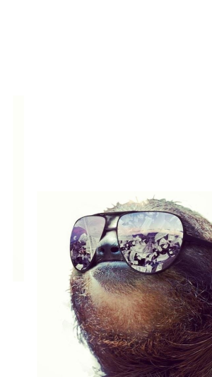 cool-money-sloth.png