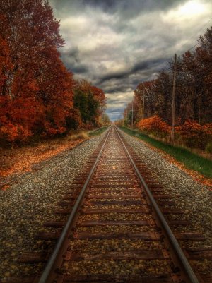autumn tracks.jpg