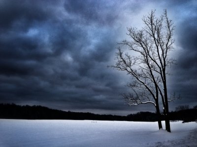 winter's desolation.JPG
