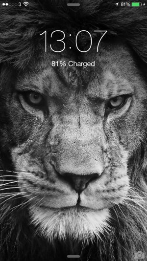 2014-10-07 13.07.36.jpg