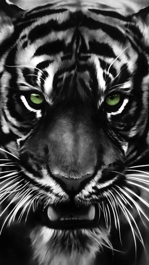 ImageUploadedByiMore Forums1416349466.320545.jpg