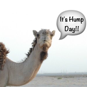 ImageUploadedByiMore Forums1433331524.584282.jpg