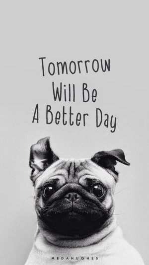 Tomorrow Will Be A Better Day Pug Face iPhone 6 Plus HD Wallpaper(1).jpg