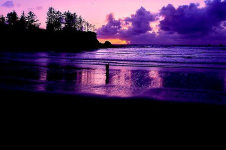 ImageUploadedByiMore Forums1363486219.928826.jpg