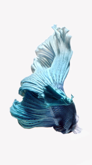 BlueFish.png