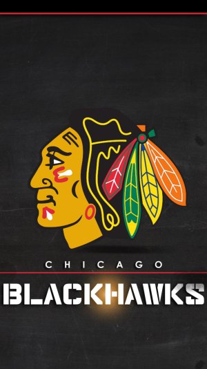blackhawks2.jpg