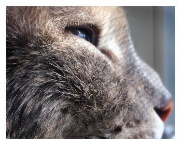 155260273.JoZ4cTpd.41614.jpg 155260273.JoZ4cTpd.41614.jpg