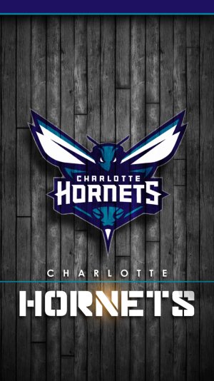 hornets2.jpg