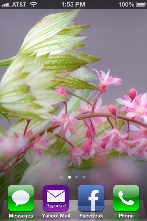 ImageUploadedByiMore Forums1363892130.300544.jpg