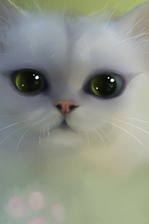 white-fluff-cute-digital-eyes-kitty-sweet-960x640.jpg