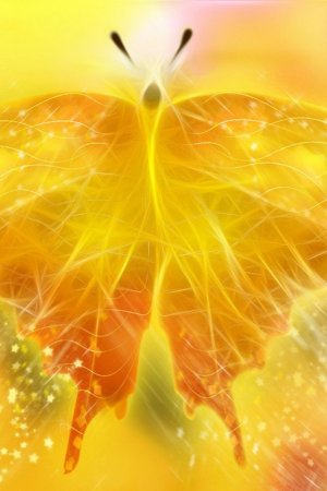 Butterfly-Yellow-960x640.jpg