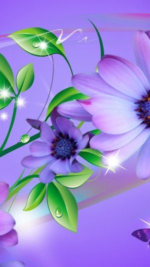 lavender-flower-rainbow-1136x640.jpg