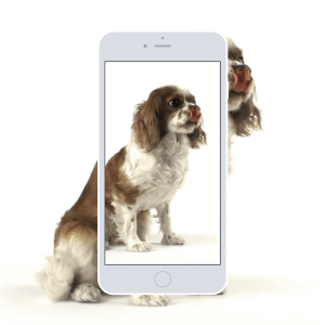 Live-wallpaper-gif1.gif Live-wallpaper-gif1.gif