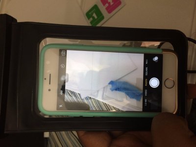 71JXDRY6zXL.jpg 71JXDRY6zXL.jpg