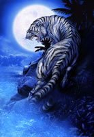 Tiger Moon.jpg