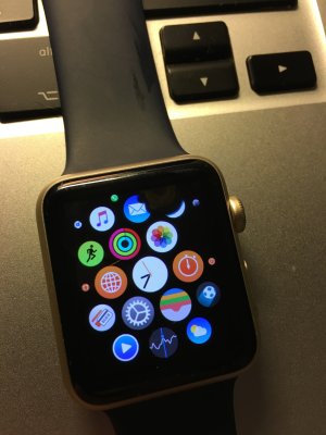 IMG_5914.jpg IMG_5914.jpg