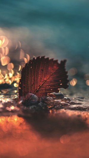 Photo Nov 16, 5 29 38 PM.jpg