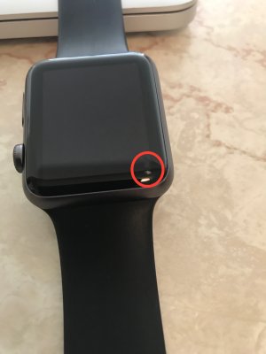 IMG_0458.jpg IMG_0458.jpg