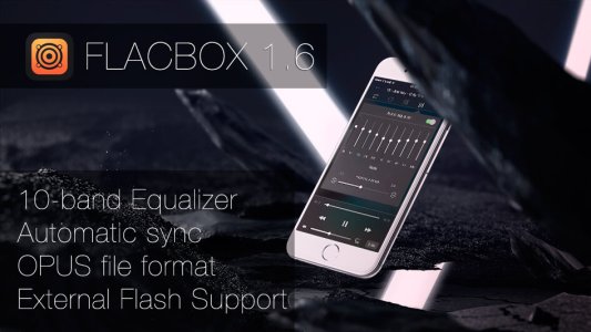 flacbox_flac_music_player_equalizer_automatic_sync_opus_file_format_external_flash_support_featu.jpg