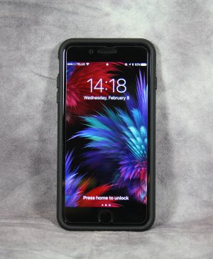 IMG_1979.JPG IMG_1979.JPG