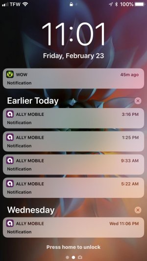 2018-02-23 23.01.55.jpg