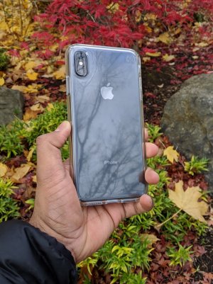 00000PORTRAIT_00000_BURST20181107102927015.jpg 00000PORTRAIT_00000_BURST20181107102927015.jpg