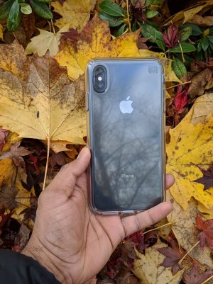 00000PORTRAIT_00000_BURST20181107103016739.jpg 00000PORTRAIT_00000_BURST20181107103016739.jpg