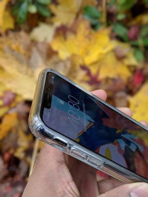 00100lPORTRAIT_00100_BURST20181107103032303_COVER.jpg 00100lPORTRAIT_00100_BURST20181107103032303_COVER.jpg