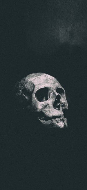 Vintage Skull.jpg