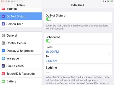 IMG_3385.JPG IMG_3385.JPG