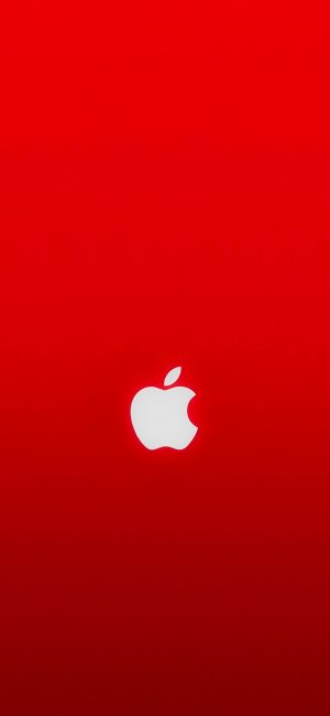 brightest apple.jpg