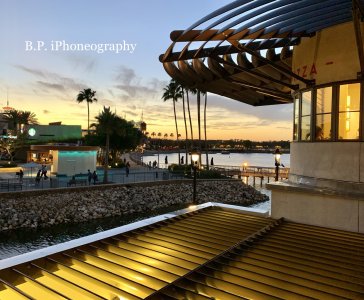 IMG_1618.JPG IMG_1618.JPG