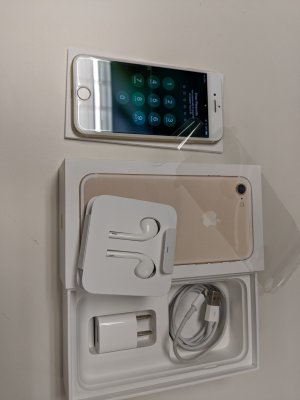 iPhone 0c.jpg iPhone 0c.jpg