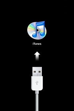 6 - plug into itunes.png