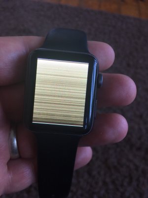 IMG_4314.jpeg IMG_4314.jpeg